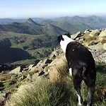 De Pailherols