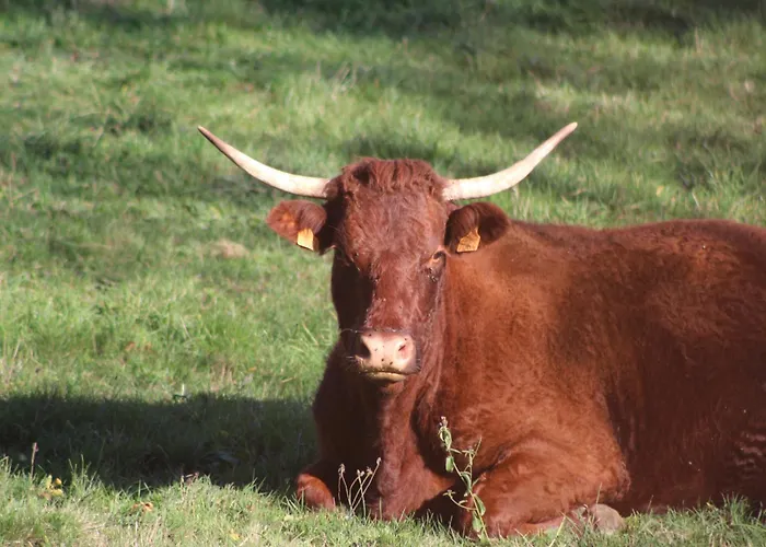 Дом отдыха De